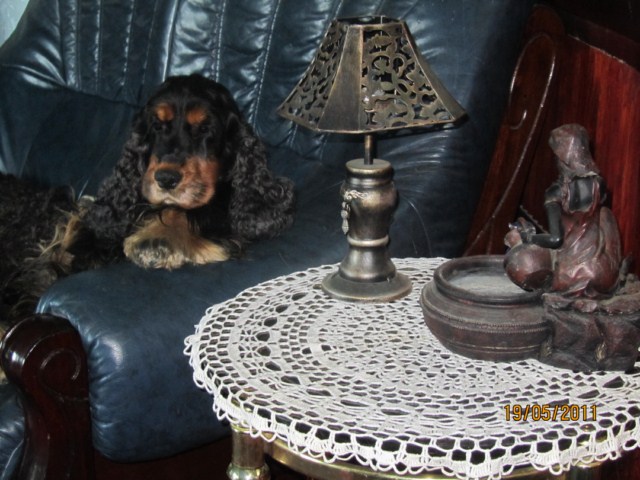 ROSAGOS