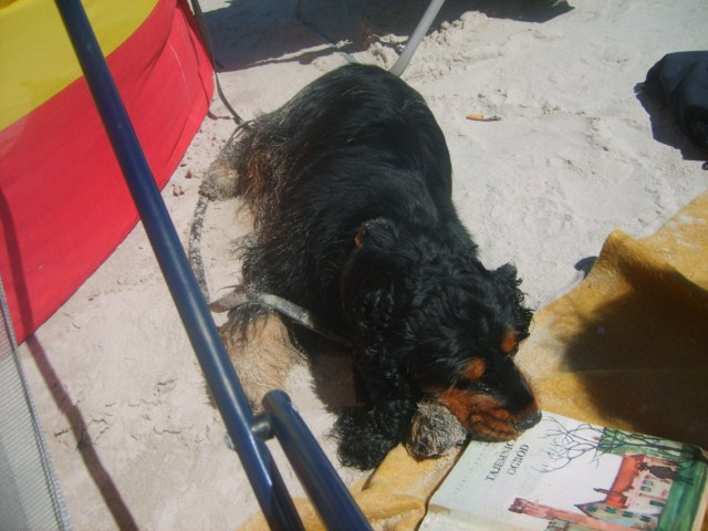 ROSAGOS