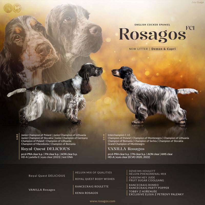 ROSAGOS