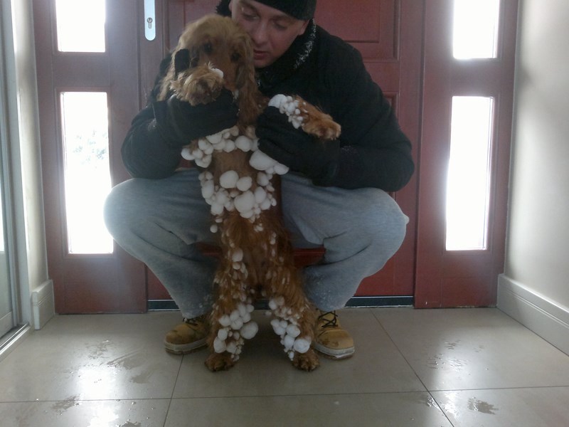 ROSAGOS