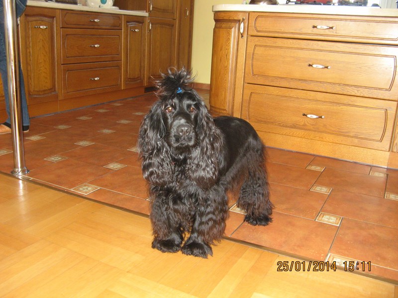 ROSAGOS