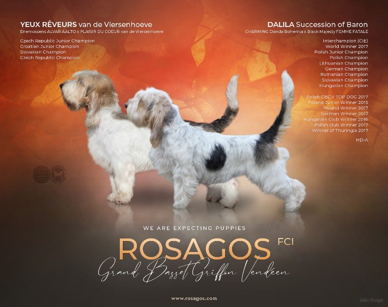 ROSAGOS
