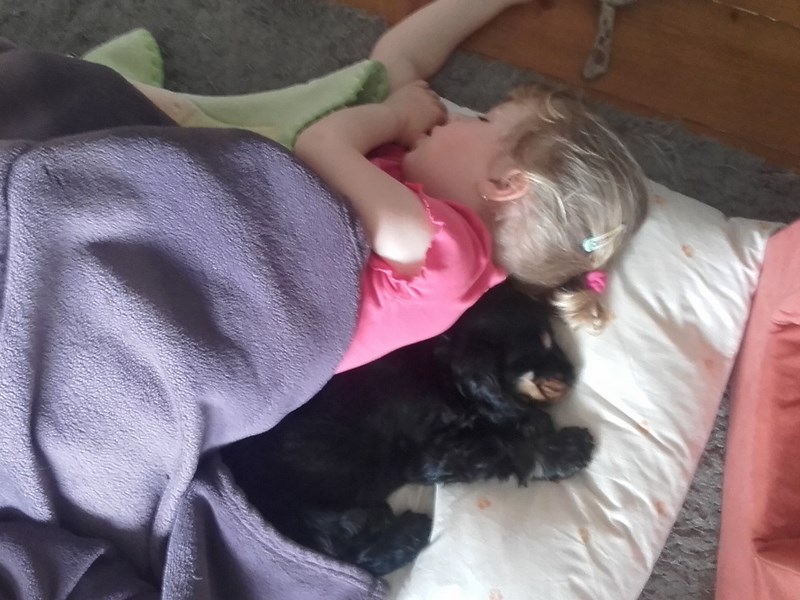 ROSAGOS