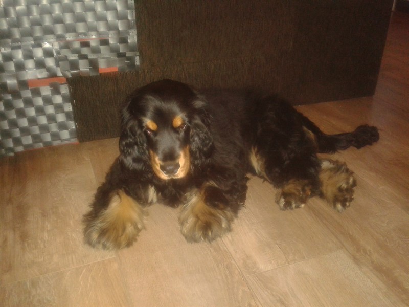 ROSAGOS