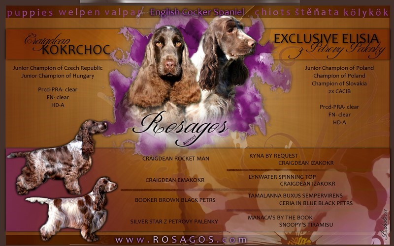 ROSAGOS