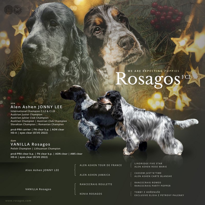ROSAGOS