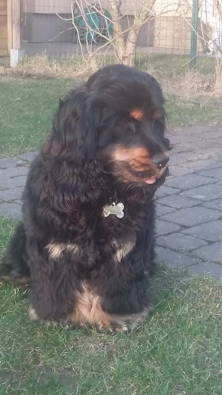 ROSAGOS