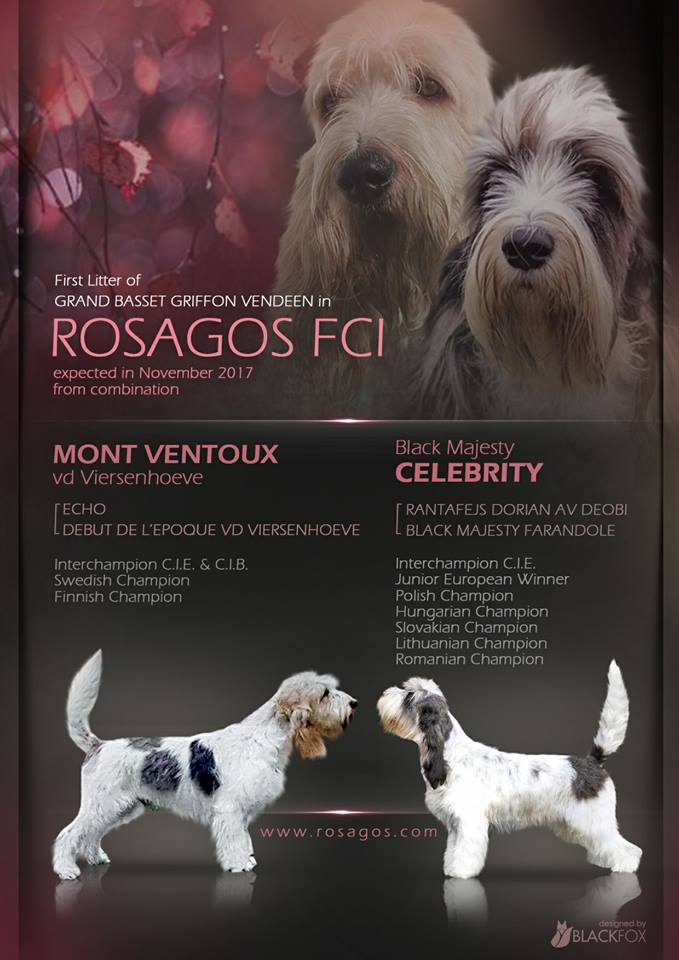 ROSAGOS