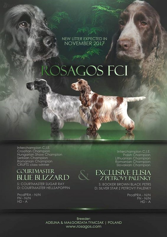 ROSAGOS