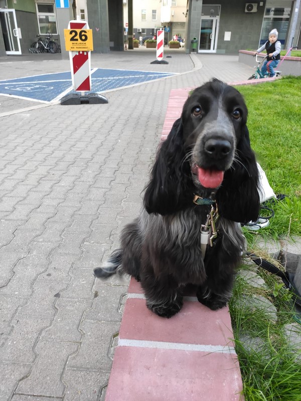 ROSAGOS