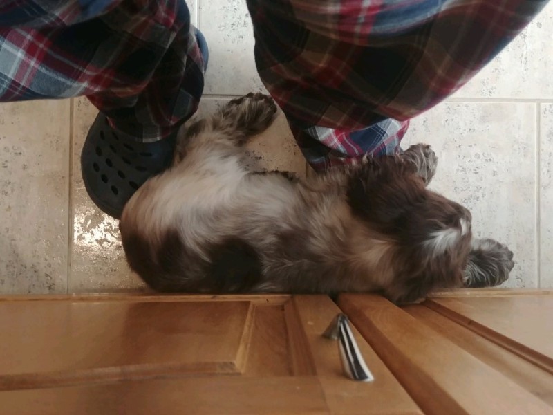 ROSAGOS
