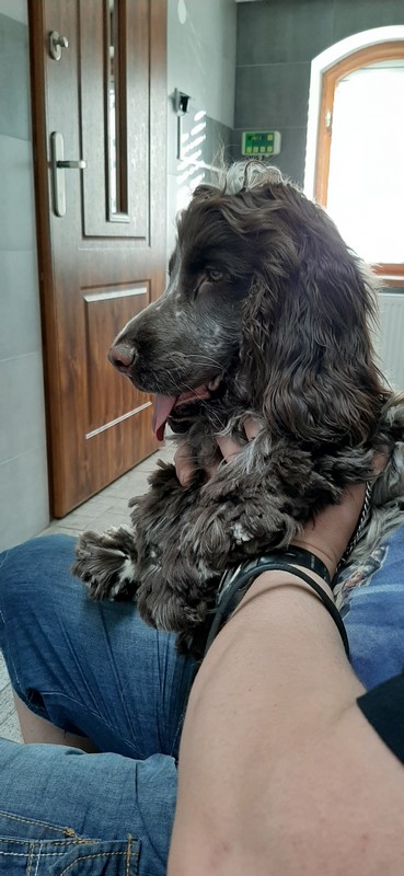 ROSAGOS
