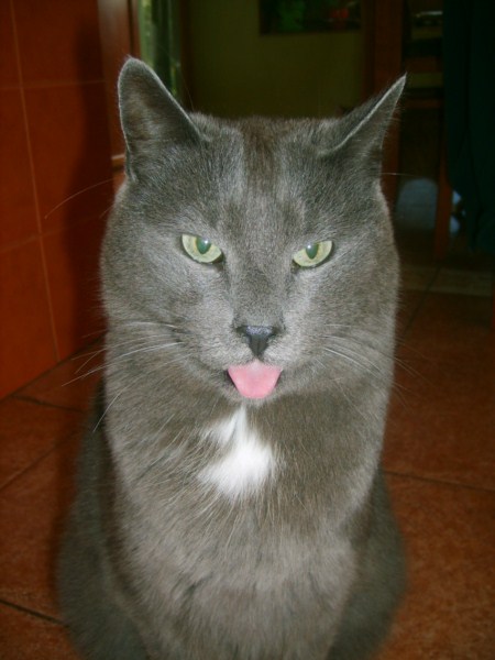 ROSAGOS