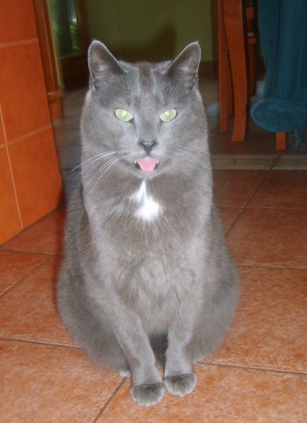 ROSAGOS