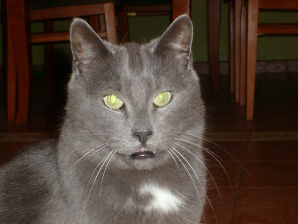 ROSAGOS
